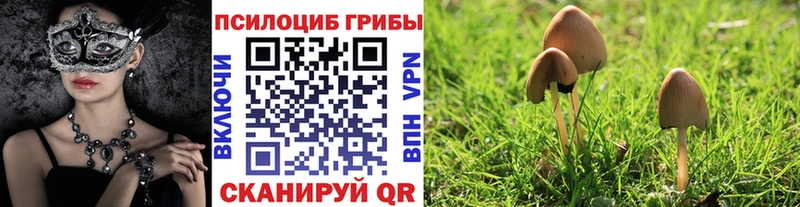 даркнет клад  Вельск  Псилоцибиновые грибы Psilocybine cubensis  hydra ТОР 